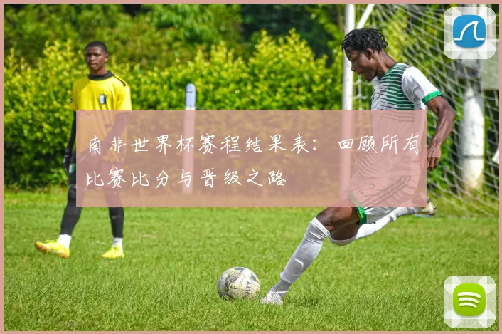 南非世界杯赛程结果表：回顾所有比赛比分与晋级之路
