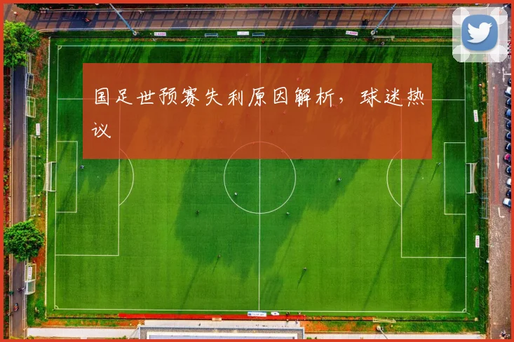 国足世预赛失利原因解析，球迷热议