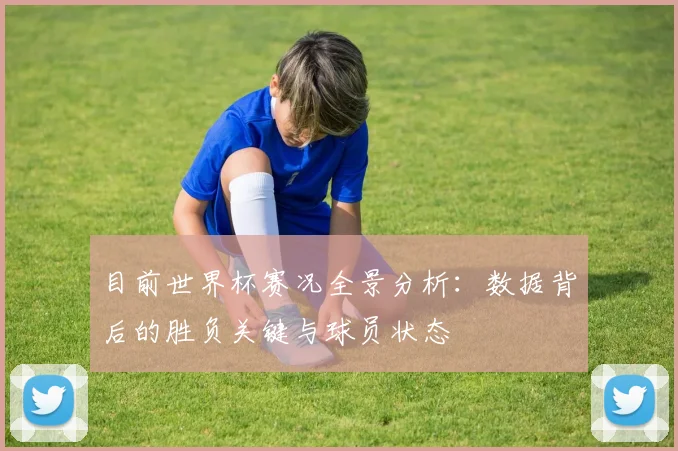 目前世界杯赛况全景分析:数据背后的胜负关键与球员状态