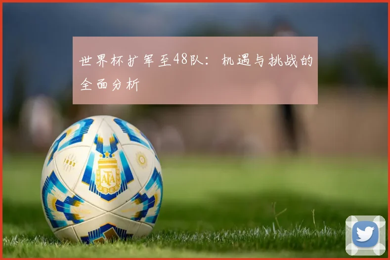 世界杯扩军至48队：机遇与挑战的全面分析