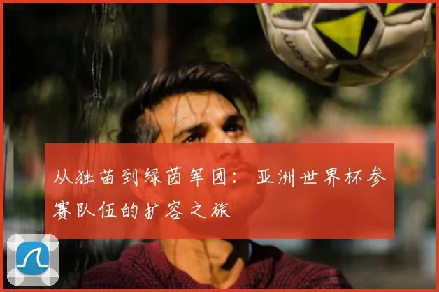 从独苗到绿茵军团：亚洲世界杯参赛队伍的扩容之旅