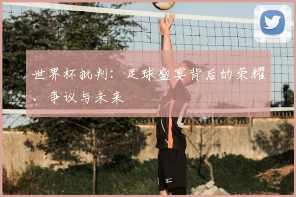 世界杯批判：足球盛宴背后的荣耀、争议与未来